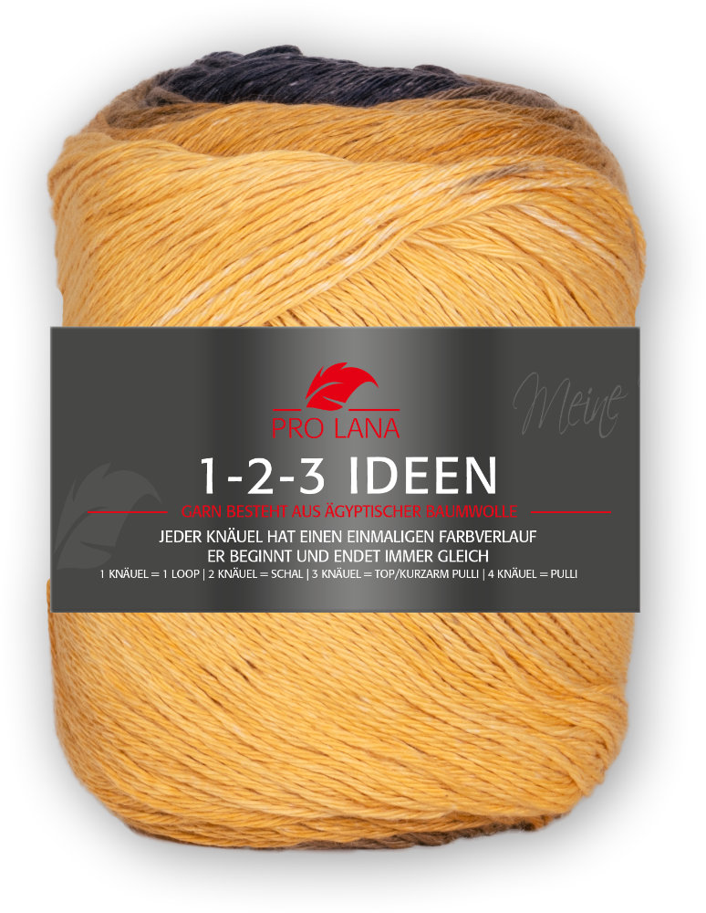 1-2-3 Ideen von Pro Lana 0022 - gelb / blau