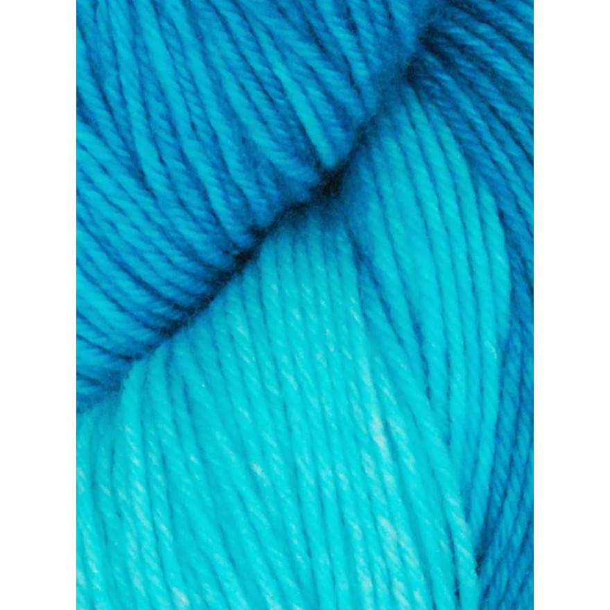 Huasco Sock Kettle Dyes von Araucania Yarns 1019 - Caribbean