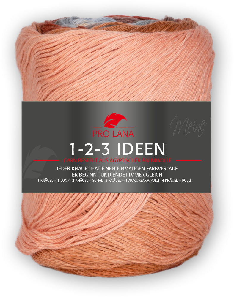 1-2-3 Ideen von Pro Lana 0016 - appricot / mint